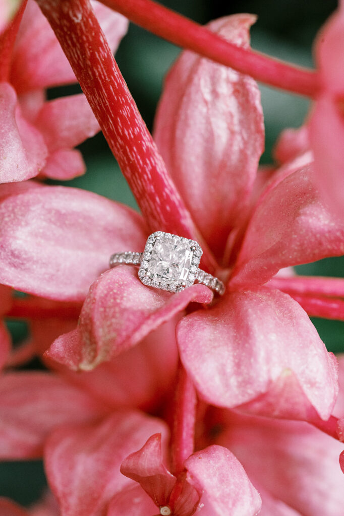 Close up of princess cut halo diamond ring on pink flower