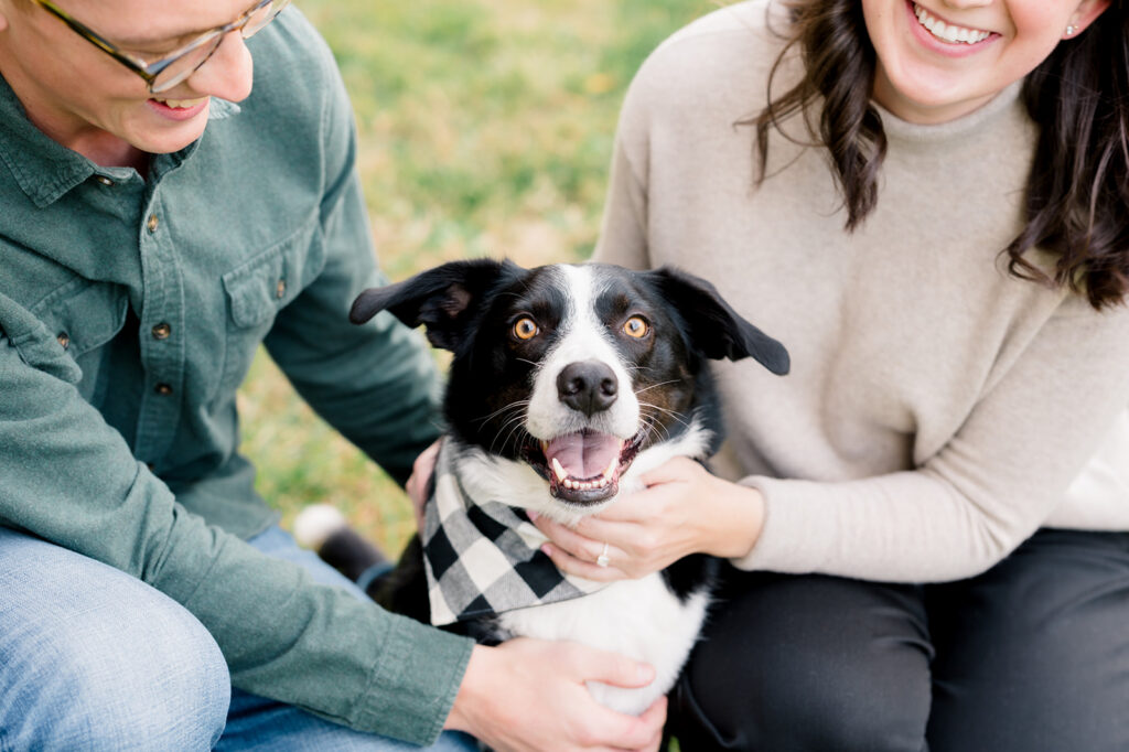 Couple smiles with their black and white dog in between them. The mood is joyful